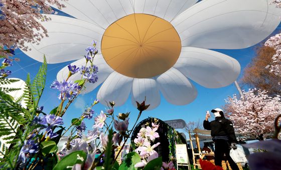 봄꽃이 찾아온 한강공원