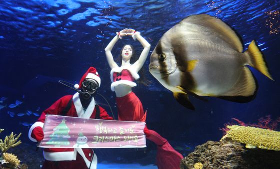 메리 크리스마스