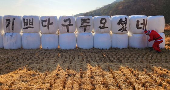 들녘에서 펼쳐진 성탄 축하 퍼포먼스