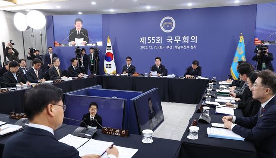 국무회의 발언하는 이재명 대통령