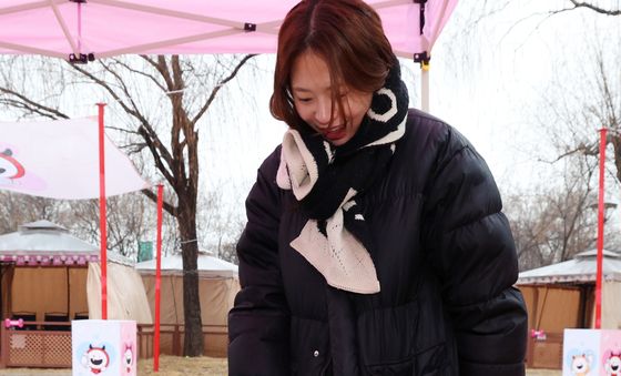 마포반려동물캠핑장서 댕댕이 크리스마스 페스타