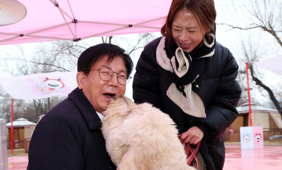 마포반려동물캠핑장, 연말 맞아 댕댕이 크리스마스 페스타펫세권 마포 알리는 홍보견 바오, 크리스마스 데뷔