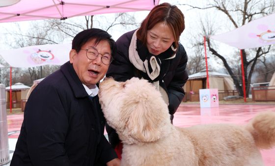 마포구, 댕댕이 크리스마스 페스타로 반려가족 맞이