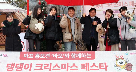 마포반려동물캠핑장, 연말 맞아 댕댕이 크리스마스 페스타