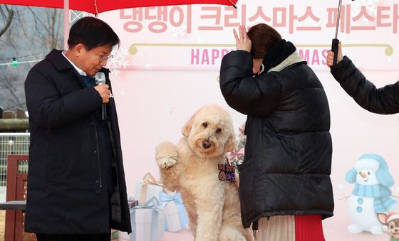 댕댕이 크리스마스 페스타…마포반려동물캠핑장
