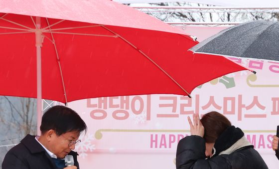 마포구, 홍보견 바오와 함께하는 크리스마스 행사