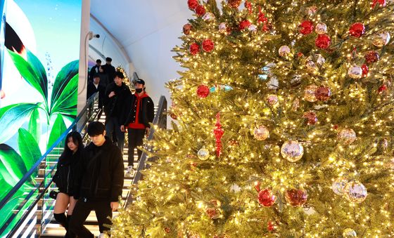 아름다운 크리스마스 트리 만나보는 '한강 플플'