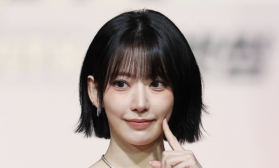 사쿠라, 반짝반짝 - 뉴스1