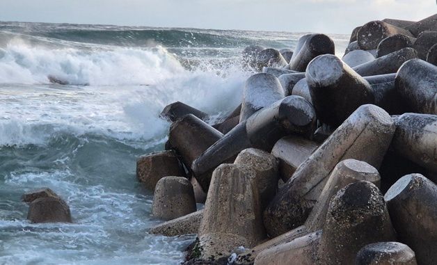 꽁꽁 언 강문해변 테트라포드