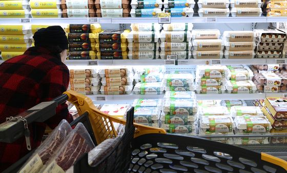 '조류독감' 확산세에 계란 수급 우려