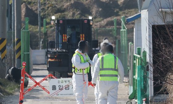 고병원성 조류인플루엔자 잇따라 발생