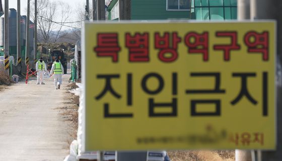 고병원성 조류인플루엔자 잇따라 발생