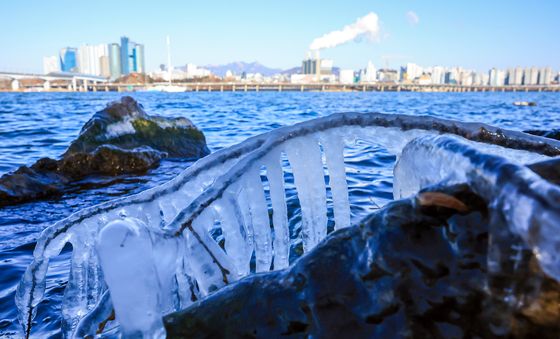 '냉동고 한파 맹위'에 꽁꽁 언 고드름
