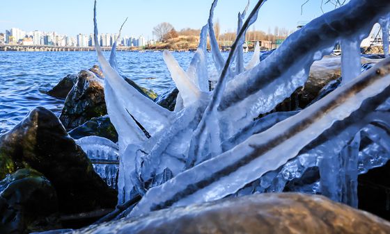 강추위에 꽁꽁 언 고드름