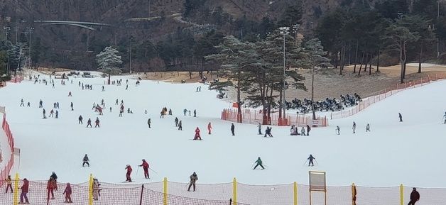 "은빛설원을 달리자"…원주 오크밸리로 몰린 관광객들