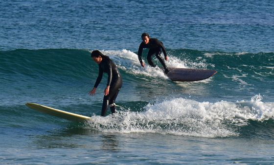 겨울파도 즐기는 서퍼들
