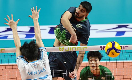 알리 '빈틈으로'