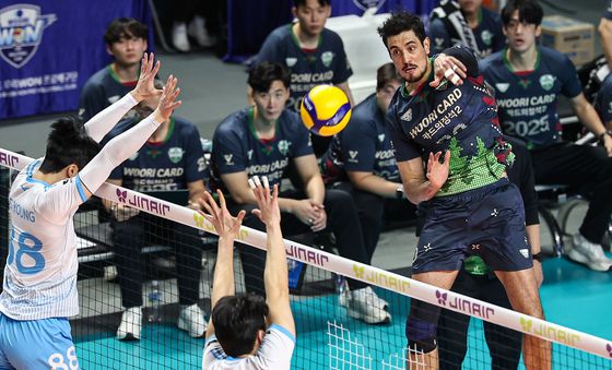 아라우조 '빈틈으로'