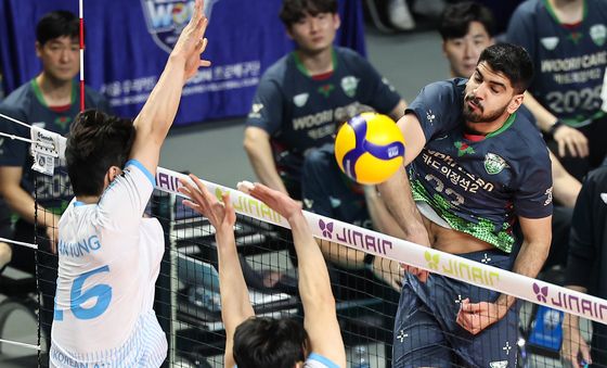 알리 '가볍게 날아서'