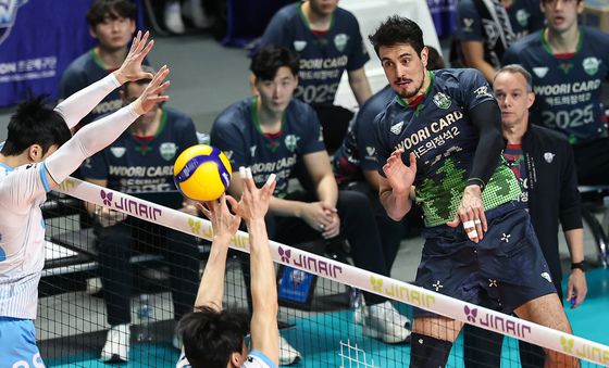 아라우조 '가볍게 날아서'