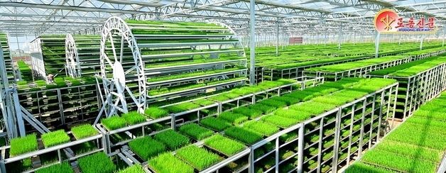 北 "당 영도 아래 농업부문 큰걸음…사회주의전야에 펼쳐진 풍년의 새 역사"