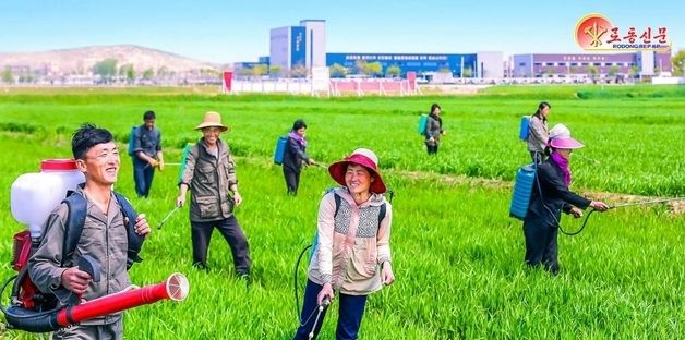 北, 알곡 증산 부문 성과 선전…"쌀로써 조국을 받드는 전야의 맹세"