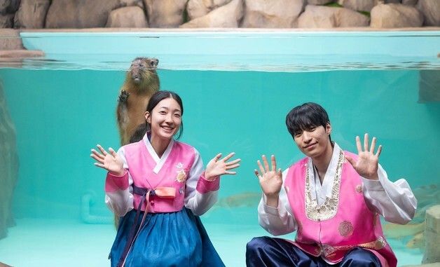 롯데월드 아쿠아리움, 신규 생물 '카피바라' 전시 오픈