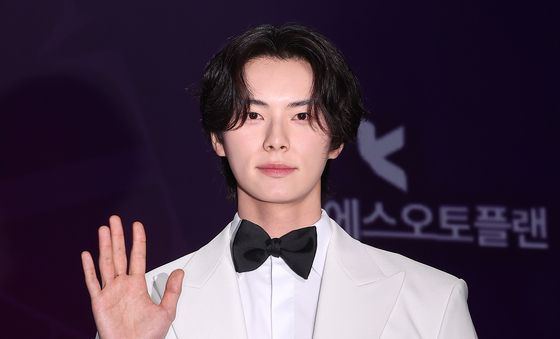 이채민, 또렷한 이목구비