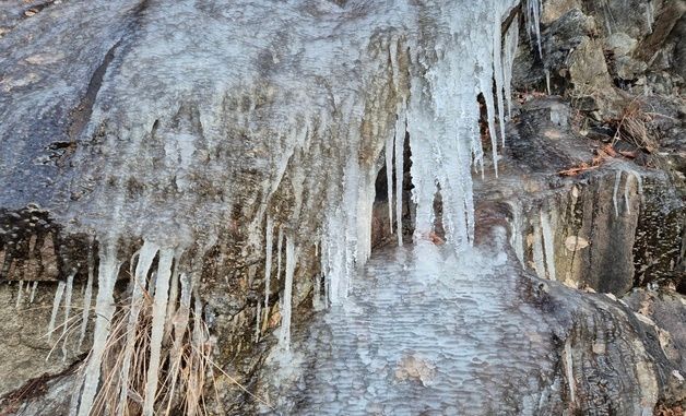 '-13.2도' 대관령 도로변에 달린 고드름