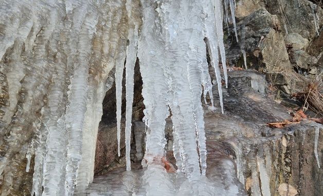 대관령 도로변에 달린 고드름
