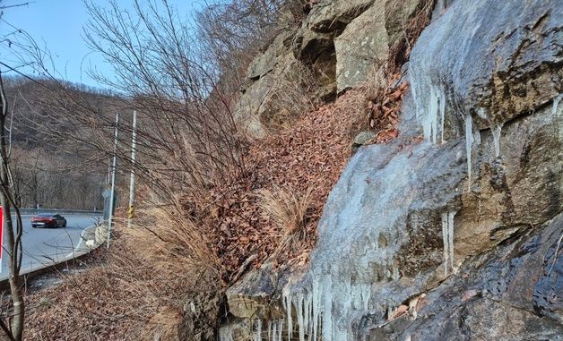 대관령은 한겨울…도로변에 고드름