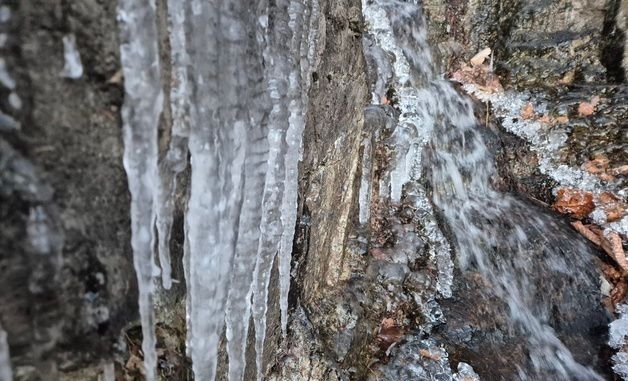 대관령 도로변에 고드름 꽁꽁
