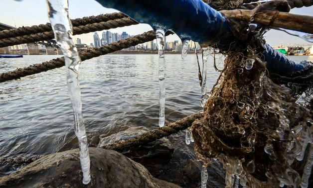 한파가 만든 고드름
