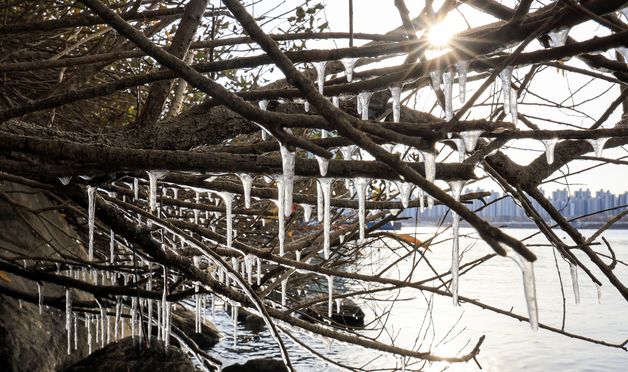 한파가 만든 고드름