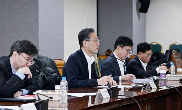 모두발언하는 이형일 기재부 차관