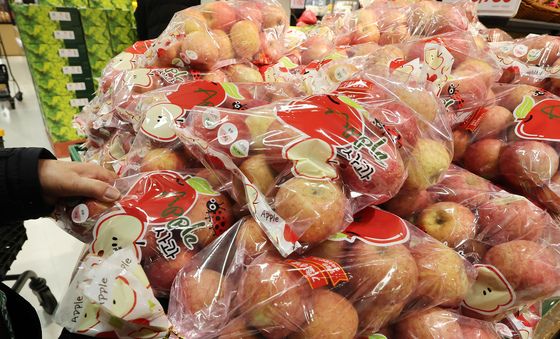 12월 사과 가격, 전년대비 19.6% 상승