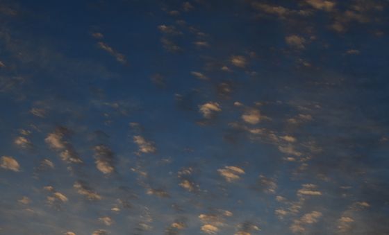 2025 마지막 노을