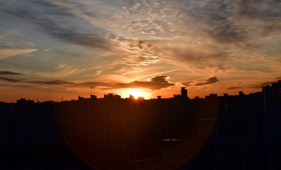 '을사년아 잘가'