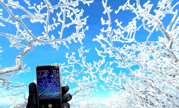 덕유산 향적봉서 "눈꽃이다" 찰칵