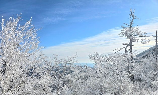 덕유산 향적봉에서 바라본 설경