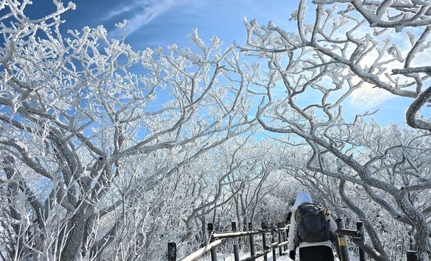 덕유산 눈꽃 터널 사이로 지나가는 등산객
