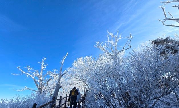 덕유산 향적봉 상고대