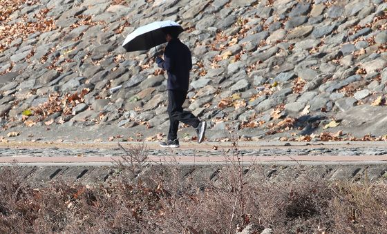 햇볕 잘드는 곳에서 먹이 찾는 백로