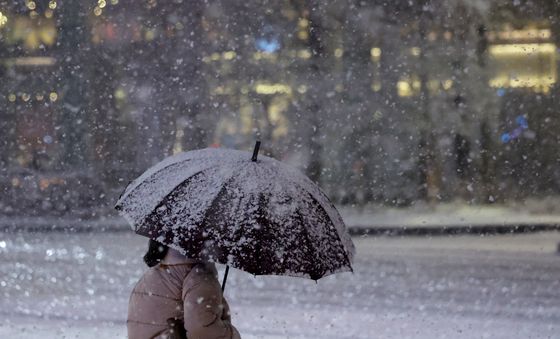 '하얗게 변한 우산'