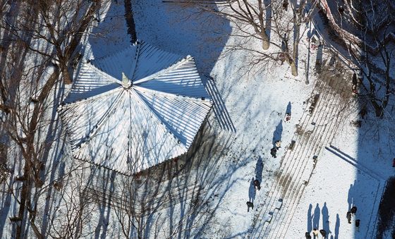 '첫눈이 하얗게'