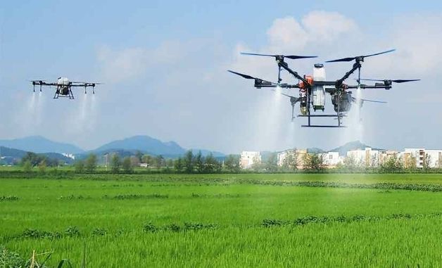 北 "농업생산의 지속적 장성" 선전…연말 알곡 성과 선전