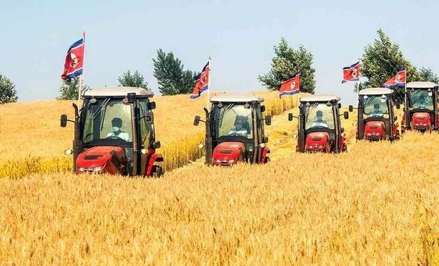 北, 농업 생산구조 바꿔 '밀 재배 면적' 확대…"토대 강화"