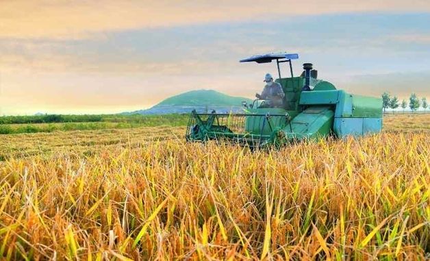 北 "알곡생산 비약적으로 장성"…농촌강력 성과 선전