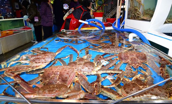 킹크렙도 있습니다