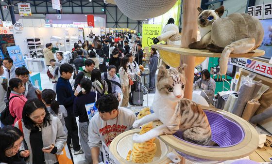 고양이를 위한 높은 '캣타워'